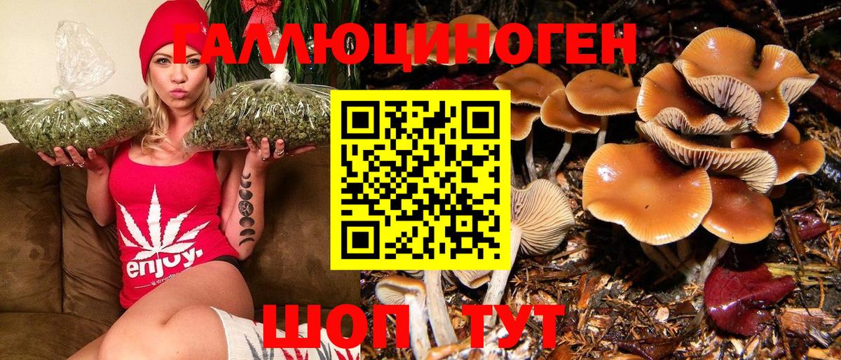 продажа наркотиков  Вход с VPN  Мурино  Псилоцибиновые грибы MAGIC MUSHROOMS  Галлюциногенные грибы ЛСД 