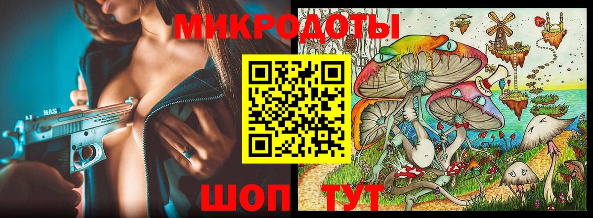 Псилоцибиновые грибы Psilocybine cubensis Мурино