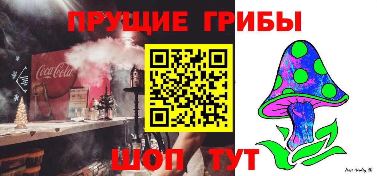 Галлюциногенные грибы Psilocybe Мурино